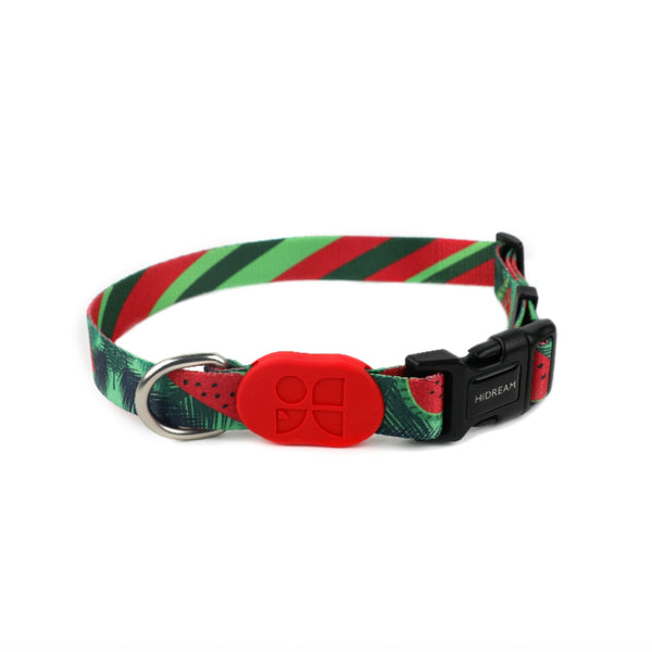 Colorful Series™ Collar
