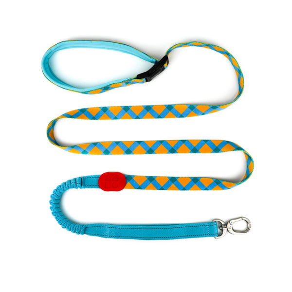 ColorPRO Series™ Hands-Free Shock-Absorbing Leash - Multi-Function Dog Lead with Comfort Grip