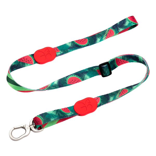 Colorful Series™ Adjustable Pet Leash
