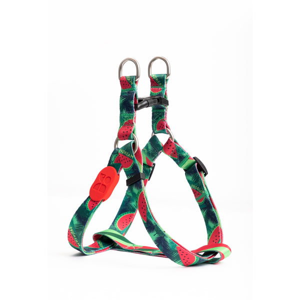 Colorful Series™ Y-Harness