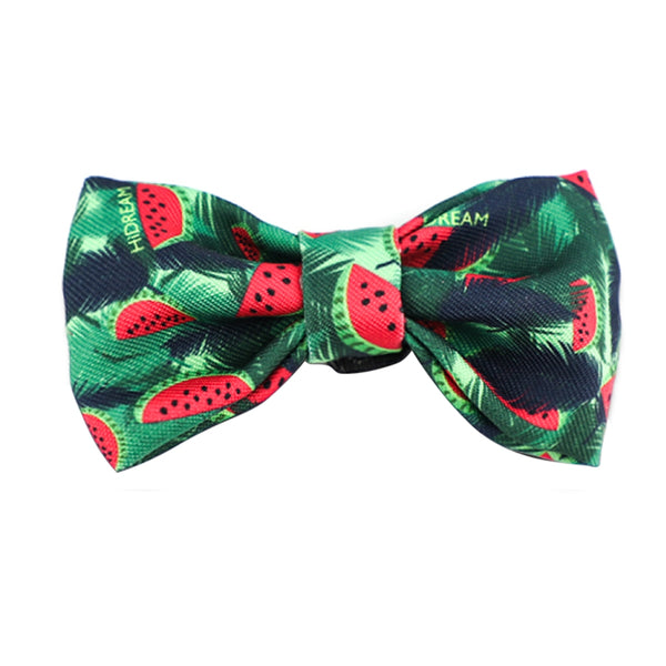 Colorful Series™Bow(pets)